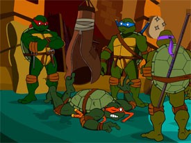 turtles.jpg