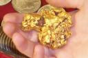 Gold Nugget