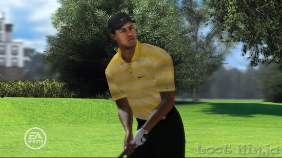 Tiger Woods Screen