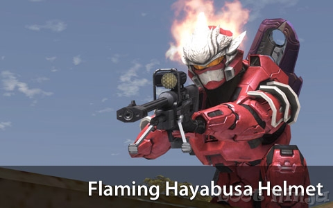flaminghayabusa.jpg