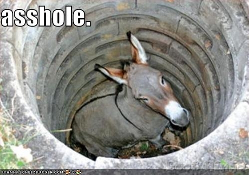 asshole
