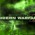 COD MW2: Titles and Emblems (How To Get Them)